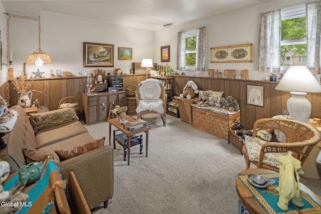 12 Jean Pl, Guilderland, NY 12303 - living room featuring carpet flooring