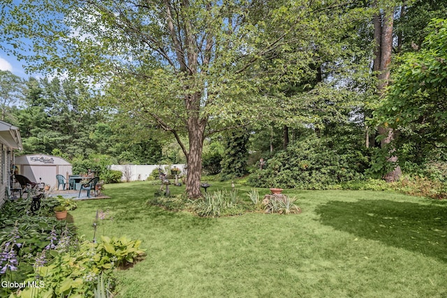 12 Jean Pl, Guilderland, NY 12303 - view of yard featuring a storage unit
