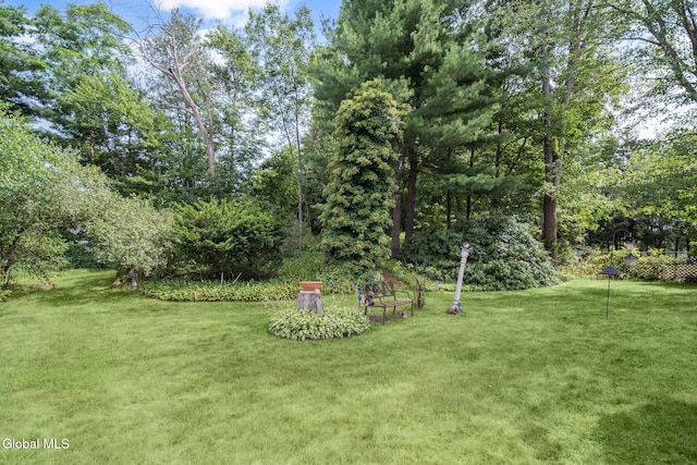 12 Jean Pl, Guilderland, NY 12303 - view of grassy yard