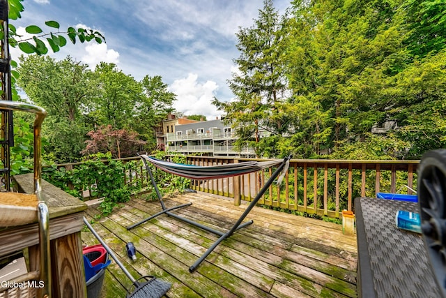 115.5 Lancaster St, Albany, NY 12210 - photo 13