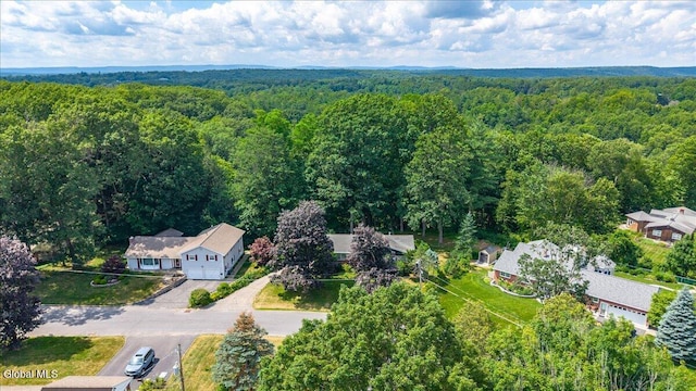 3 Roberts Ln, Saratoga Springs, Inside, NY 12866 - drone / aerial view of a forest