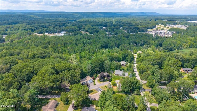 3 Roberts Ln, Saratoga Springs, Inside, NY 12866 - aerial view of property and surrounding area with a forest