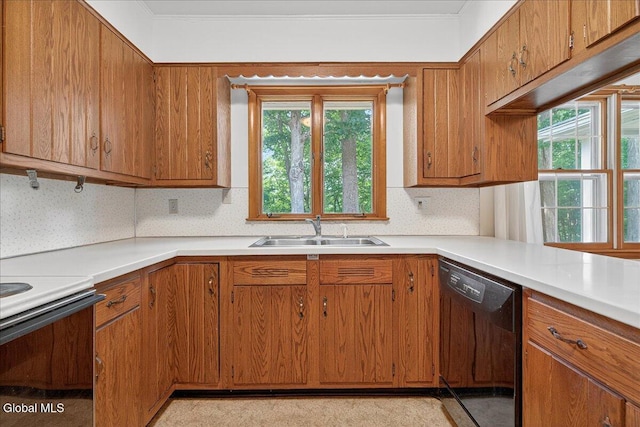 3 Roberts Ln, Saratoga Springs, Inside, NY 12866 - kitchen featuring dishwasher, healthy amount of natural light, white range with electric stovetop, and brown cabinetry
