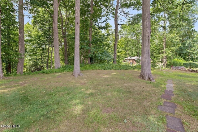 3 Roberts Ln, Saratoga Springs, Inside, NY 12866 - view of grassy yard