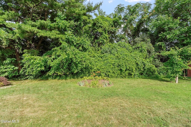 2351 Oakland Ave, Schenectady, NY 12309 - view of green lawn