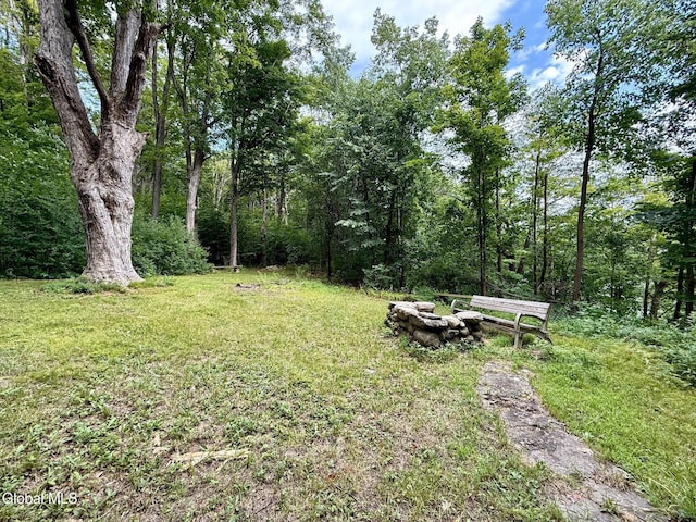 713 Riverview Rd, Rexford, NY 12148 - photo 111