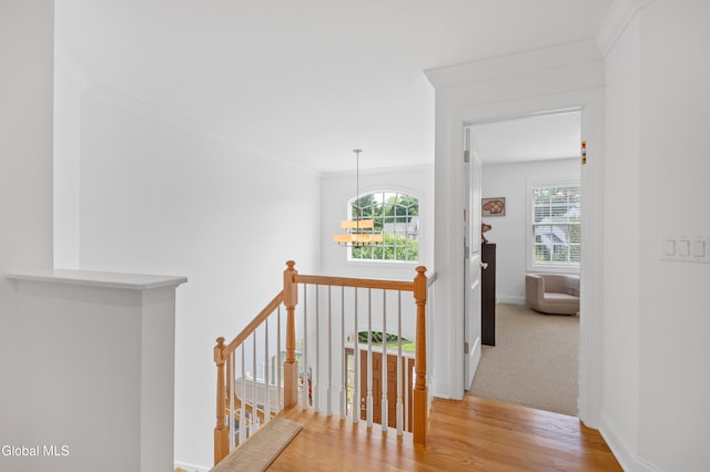 5 Sundance Ln, Colonie, NY 12211 - photo 36