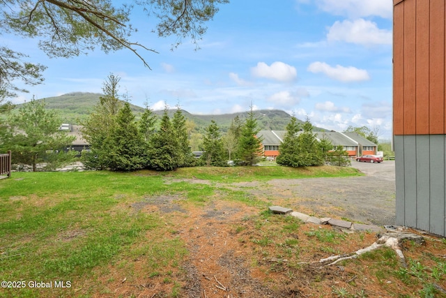 35 Scribner Hollow Rd # E3, Hunter, NY 12442 - view of yard with a mountain view