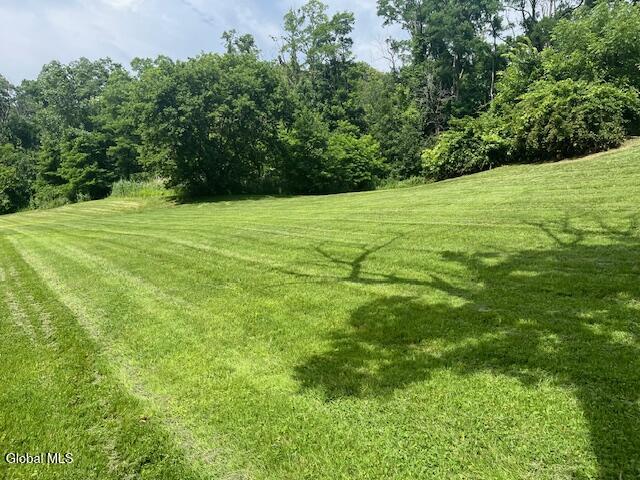 1194 River Rd, Schodack, NY 12156 - photo 9