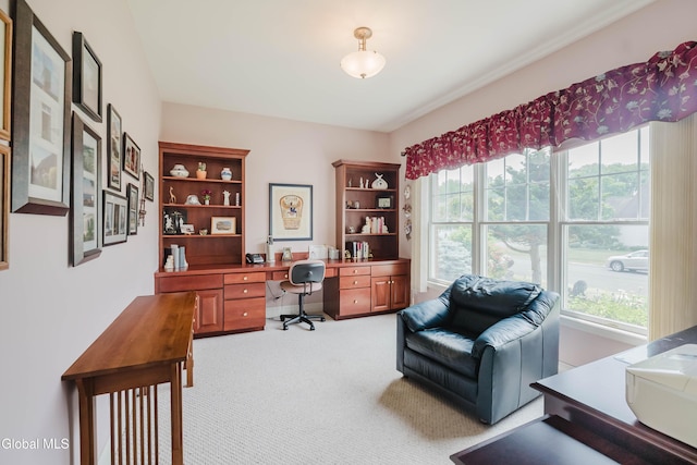 27 Cheshire Way, Colonie, NY 12211 - photo 5