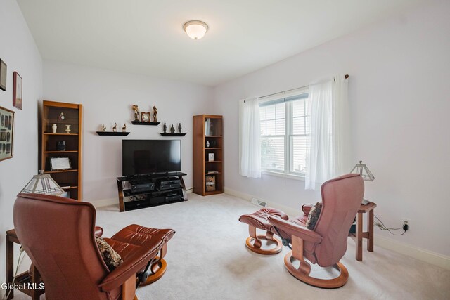 27 Cheshire Way, Colonie, NY 12211 - photo 21