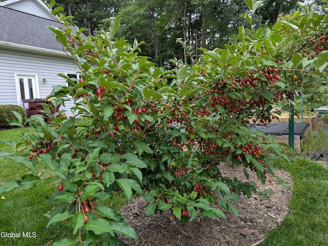 33 Cindy Ln, Halfmoon, NY 12065 - view of yard