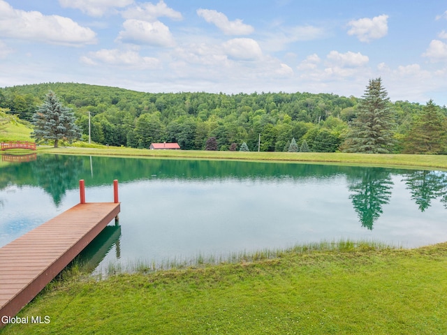 271 Settles Mountain Rd, Cobleskill, NY 12043 - dock with a wooded view and a water view