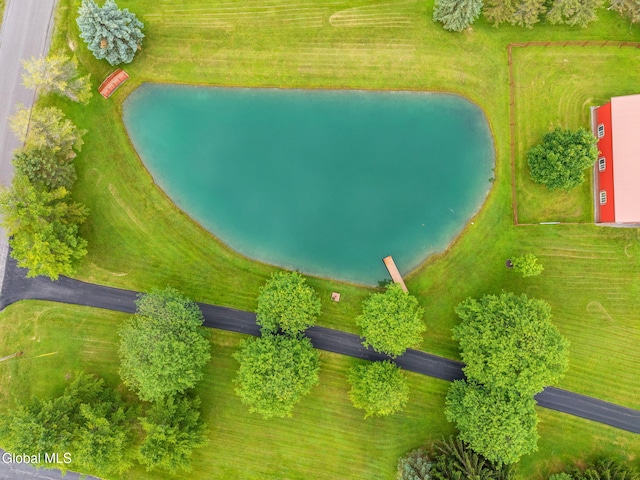 271 Settles Mountain Rd, Cobleskill, NY 12043 - drone / aerial view of a nearby body of water