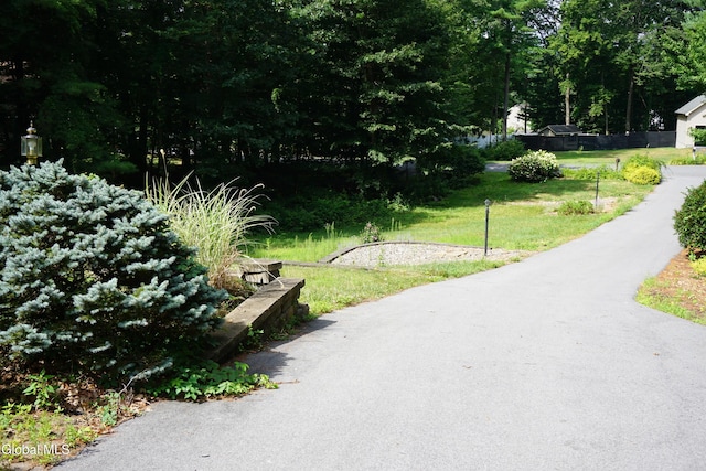 3 Stone Clover Dr, Stillwater, NY 12866 - photo 44