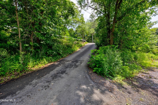 15 Fathom Dr, Stillwater, NY 12866 - view of street