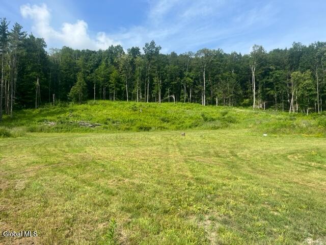 2883 State Route 145, Schoharie, NY 12157 - photo 4
