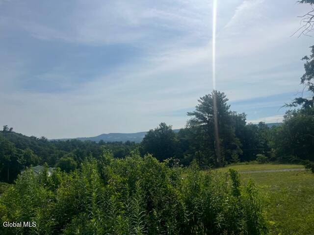 2883 State Route 145, Schoharie, NY 12157 - photo 6