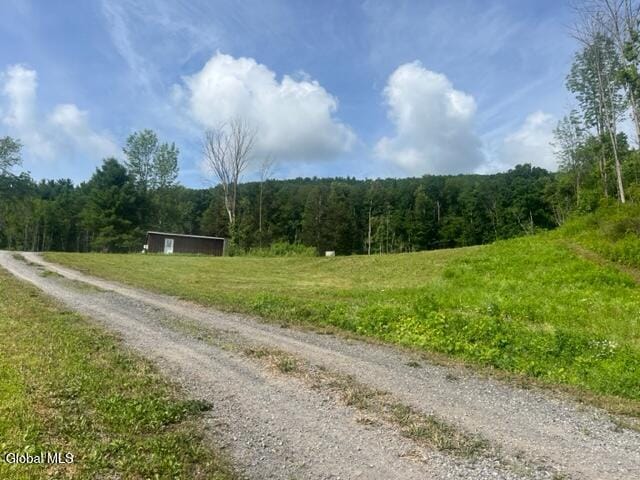 2883 State Route 145, Schoharie, NY 12157 - photo 12