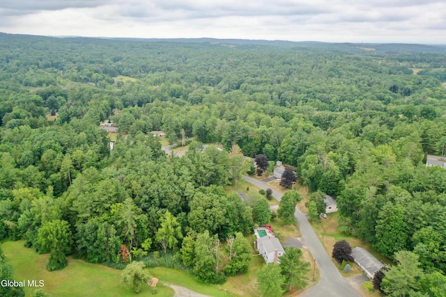 63 Edgewood Dr, Sand Lake, NY 12018 - photo 50