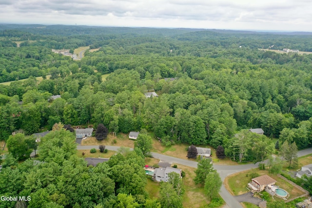 63 Edgewood Dr, Sand Lake, NY 12018 - photo 51