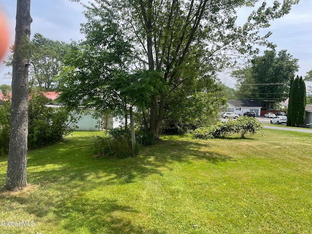 11 Blinn St, Whitehall, NY 12887 - photo 3