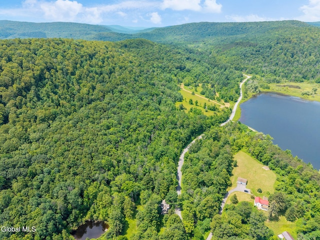 650 Mill Pond Rd, Sharon Springs, NY 13459 - photo 11