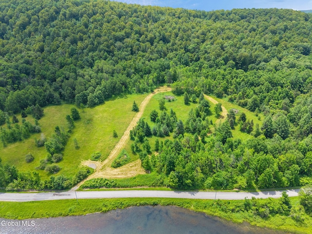 650 Mill Pond Rd, Sharon Springs, NY 13459 - photo 8