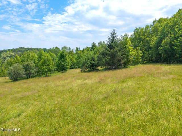 650 Mill Pond Rd, Sharon Springs, NY 13459 - photo 2
