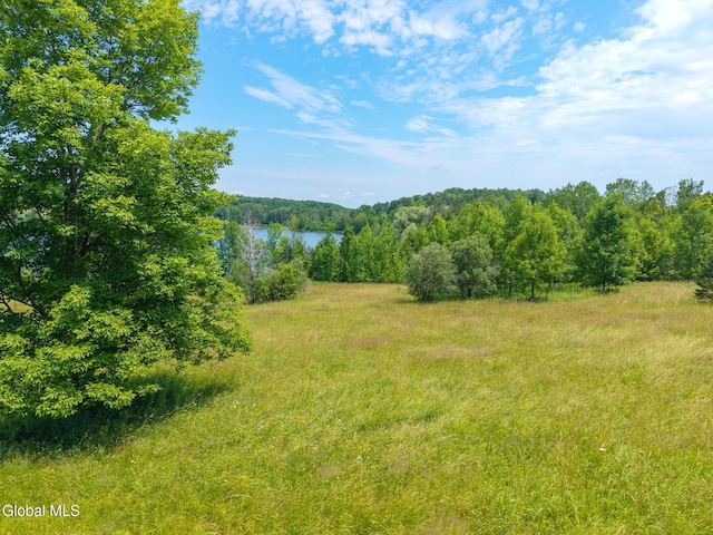 650 Mill Pond Rd, Sharon Springs, NY 13459 - photo 16