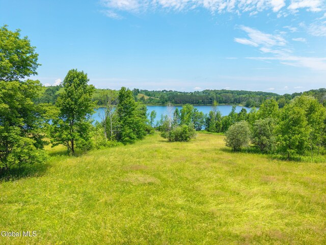 650 Mill Pond Rd, Sharon Springs, NY 13459 - photo 1