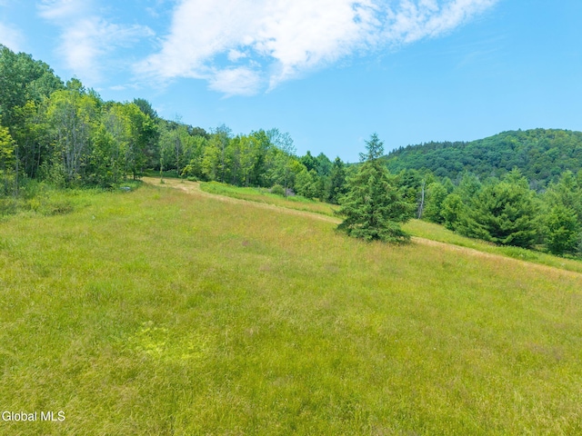 650 Mill Pond Rd, Sharon Springs, NY 13459 - photo 3