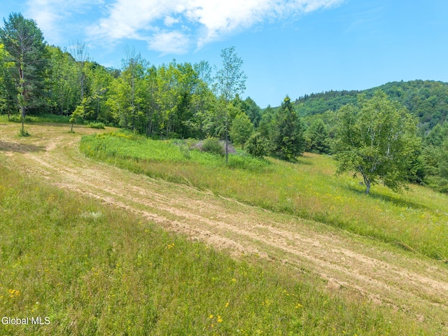 650 Mill Pond Rd, Sharon Springs, NY 13459 - photo 4