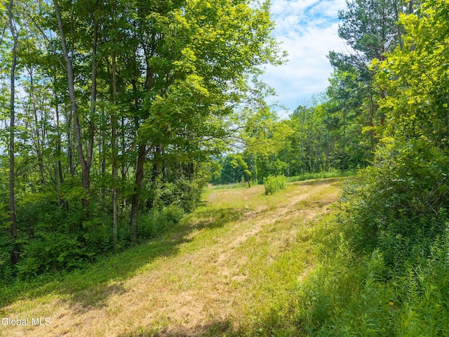 650 Mill Pond Rd, Sharon Springs, NY 13459 - photo 5