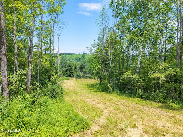 650 Mill Pond Rd, Sharon Springs, NY 13459 - photo 6