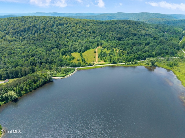 650 Mill Pond Rd, Sharon Springs, NY 13459 - photo 20