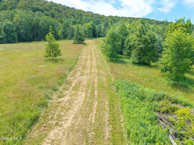 650 Mill Pond Rd, Sharon Springs, NY 13459 - photo 10