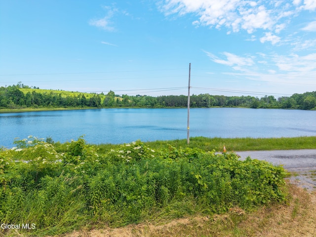650 Mill Pond Rd, Sharon Springs, NY 13459 - photo 9