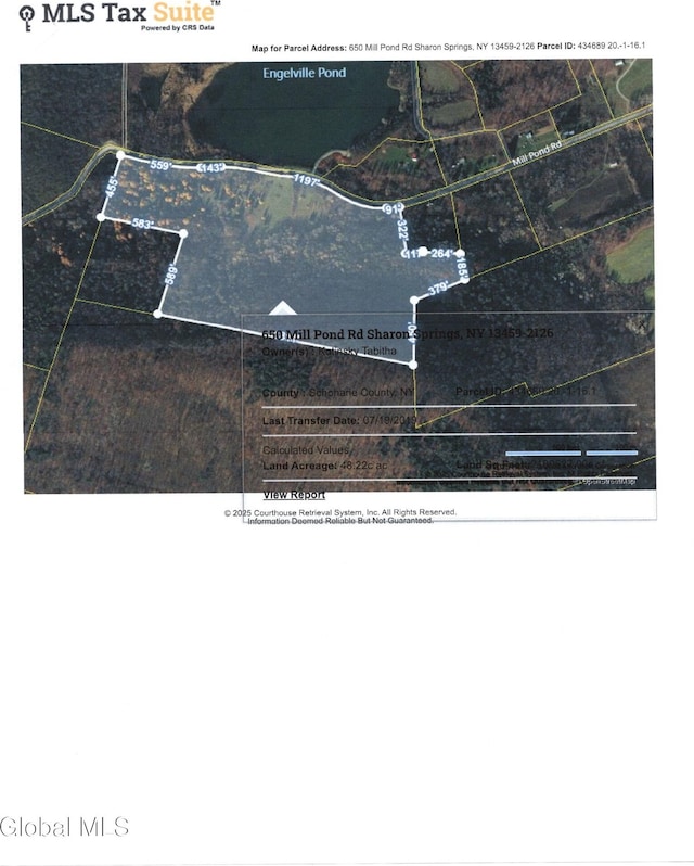 650 Mill Pond Rd, Sharon Springs, NY 13459 - photo 22