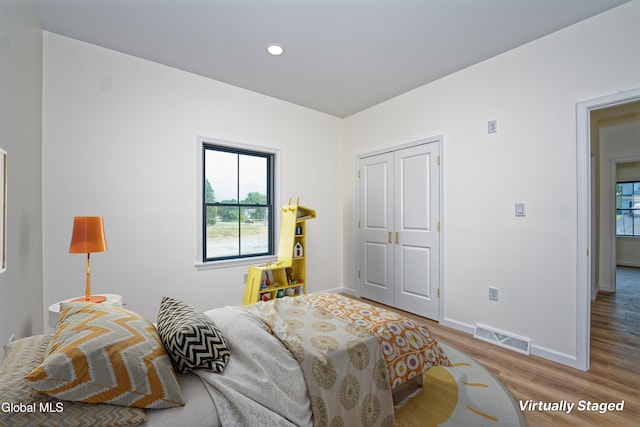 145C Bozenkill Rd, Altamont, NY 12009 - bedroom featuring wood finished floors, recessed lighting, and a closet