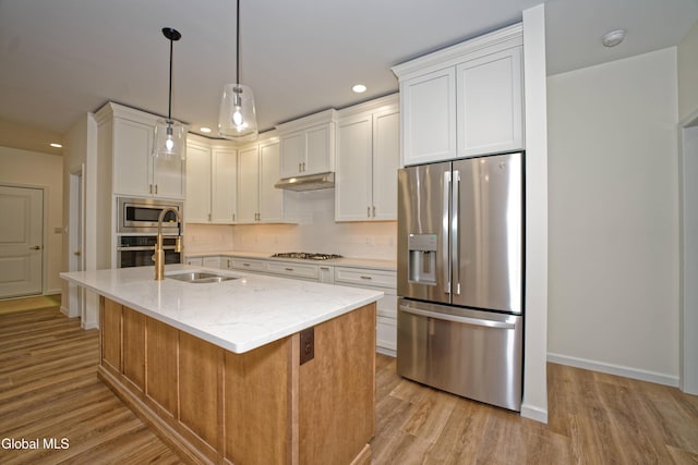 145C Bozenkill Rd, Altamont, NY 12009 - kitchen with appliances with stainless steel finishes, under cabinet range hood, light wood-style flooring, recessed lighting, and white cabinets