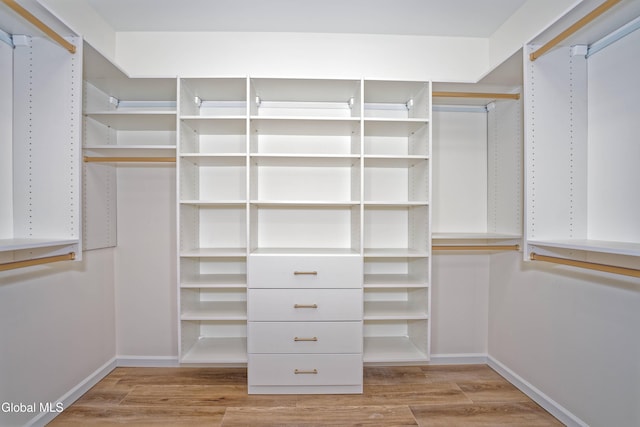 145C Bozenkill Rd, Altamont, NY 12009 - spacious closet with wood finished floors