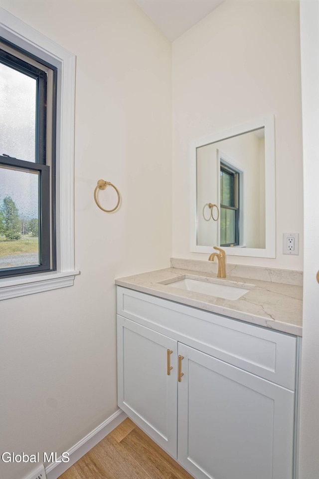 145C Bozenkill Rd, Altamont, NY 12009 - bathroom featuring plenty of natural light, vanity, and wood finished floors