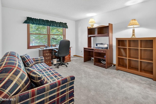 52 Sonat Rd, Clifton Park, NY 12065 - photo 19