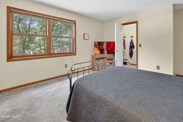 52 Sonat Rd, Clifton Park, NY 12065 - photo 22