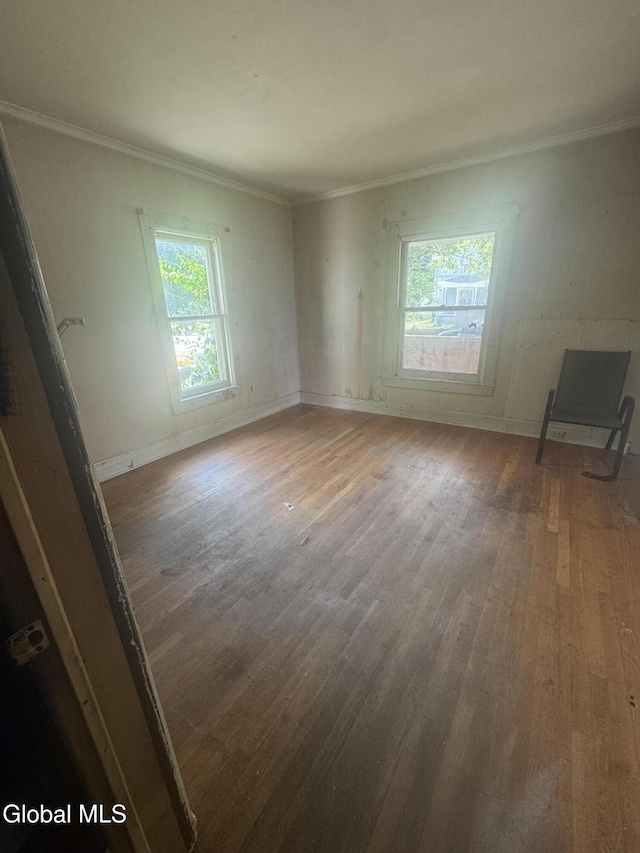 183 Main St, South Glens Falls, NY 12803 - unfurnished living room featuring crown molding, wood finished floors, and plenty of natural light