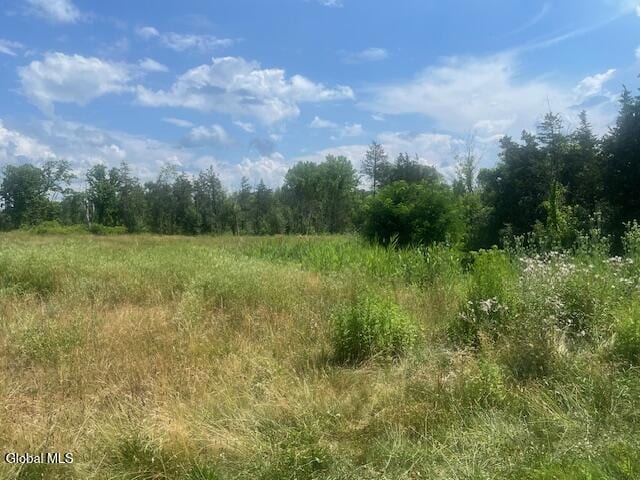 35 Pulcher, Greenport, NY 12534 - photo 5