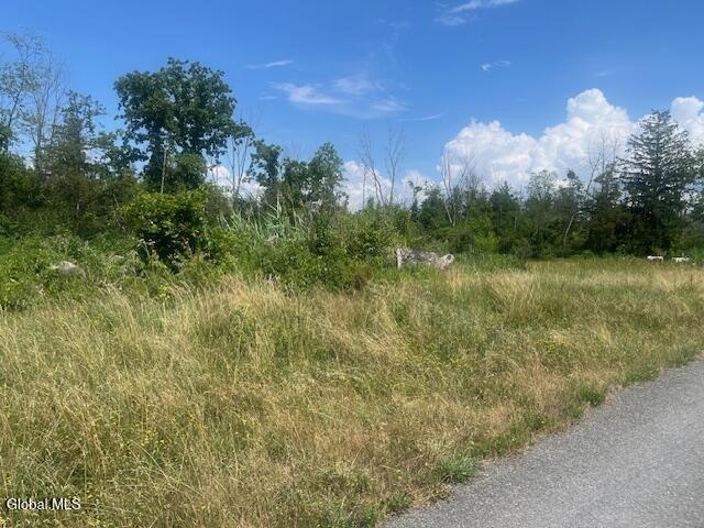 35 Pulcher, Greenport, NY 12534 - photo 9