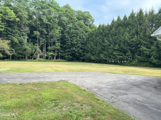 576 County Highway 102, Gloversville, NY 12078 - view of street featuring a wooded view