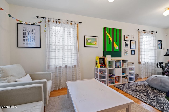 1556 Wendell Ave, Schenectady, NY 12308 - living area with light wood-type flooring